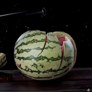 Fix-Food